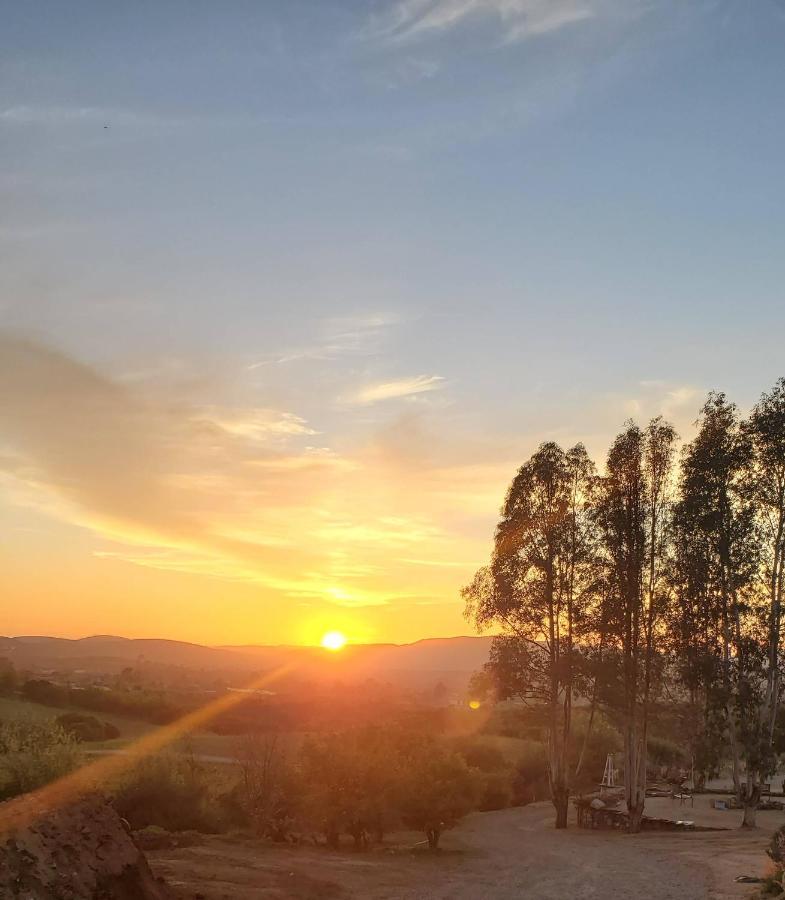 Vina Calabria