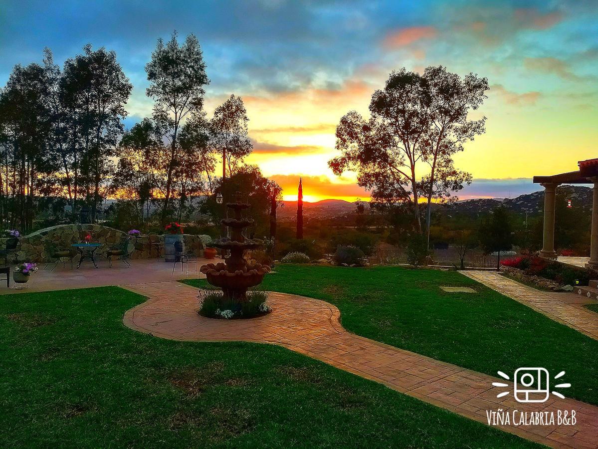 Vina Calabria Bed & Breakfast